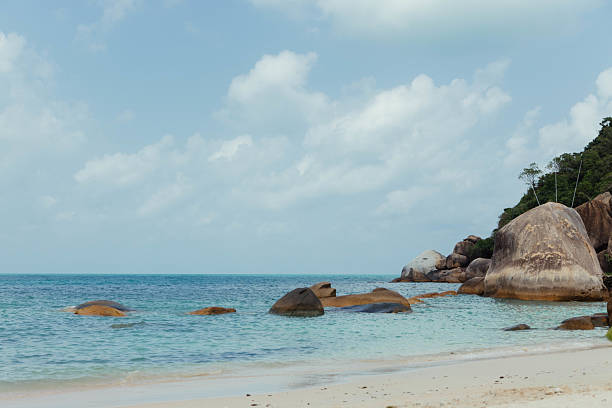 istock Clear turquoise waters gently lap against the sandy shore, with large rocks scattered along the beach and lush greenery in the background beneath a bright blue sky 2231054924