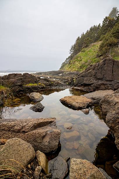 istock Coastal landscape with rocky shore and calm water. 2231056103