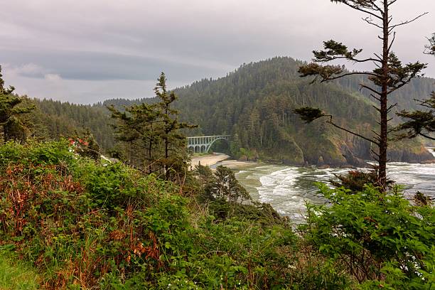 istock Coastal landscape with bridge and ocean waves. 2231056125