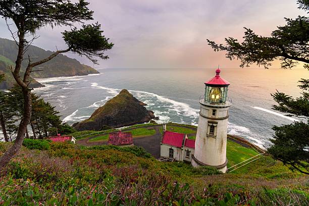 istock Heceta Head Lighthouse at Sunset 2231056145
