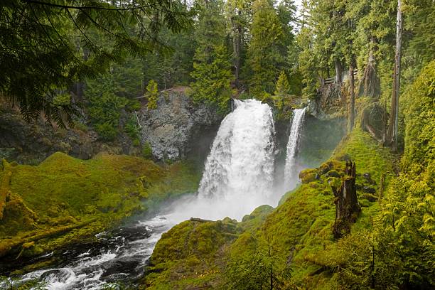 istock Serene waterfall in lush forest landscape. 2231056161
