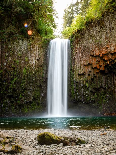 istock Serene waterfall amidst lush greenery and rocks. 2231056194