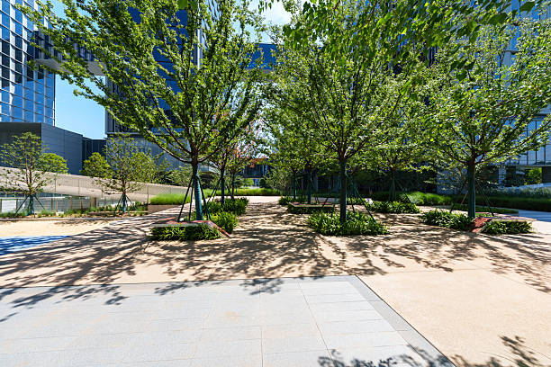 istock empty road in city park 2231060544