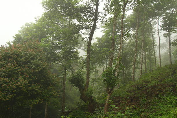 istock Mountain landscape in Vietnam 2231061957