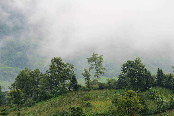 istock Mountain landscape in Vietnam 2231064653