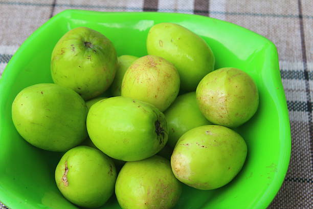 ripe fruit and vegetables in the garden