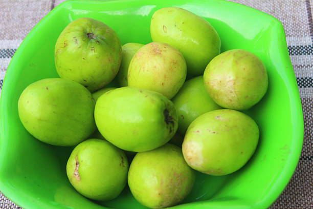 ripe fruit and vegetables in the garden