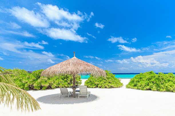 istock tropical beach in Maldives 2231073888