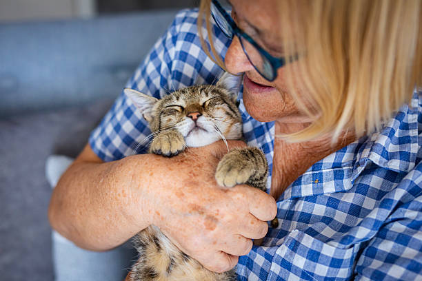 istock Cat lover spending quality time with her furry friend 2231081126