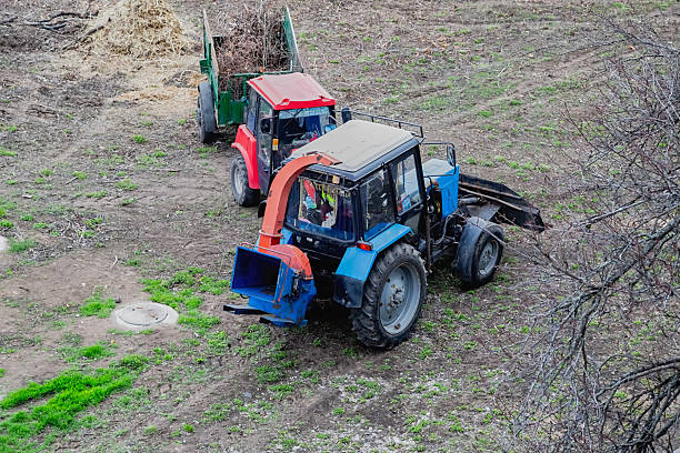 A tractor with a mobile wood chipper and a tractor loaded with cut trees on an earth site. Eco-friendly disposal of branches: tractors with wood chippers in the park.