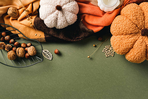 istock Cozy autumn flatlay with plush pumpkins, folded blanket, nuts, pinecones, and festive decor. Fall, Thanksgiving concept. 2231093663