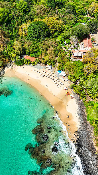 istock Vertical aerial view of Praia do Cachorro 2231104932