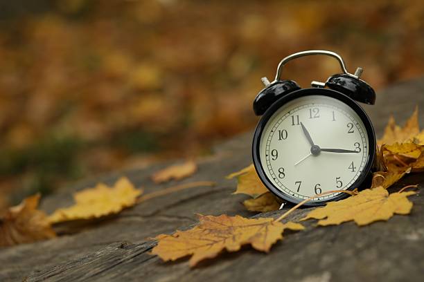 istock Autumn time. Alarm clock on tree stump in park, closeup with space for text 2231106161