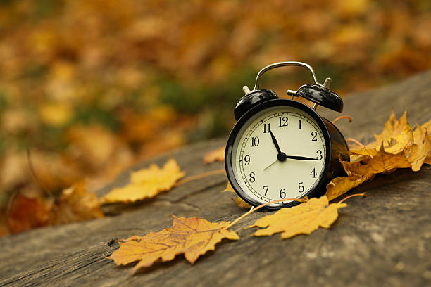 istock Autumn time. Alarm clock on tree stump in park, closeup with space for text 2231106182