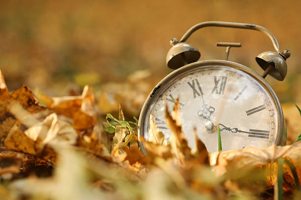 istock Autumn time. Vintage clock on fallen leaves in park, closeup with space for text 2231106205