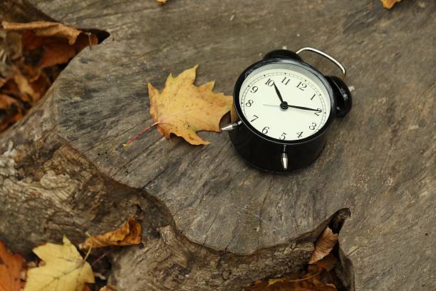Autumn time. Alarm clock on tree stump in park, closeup