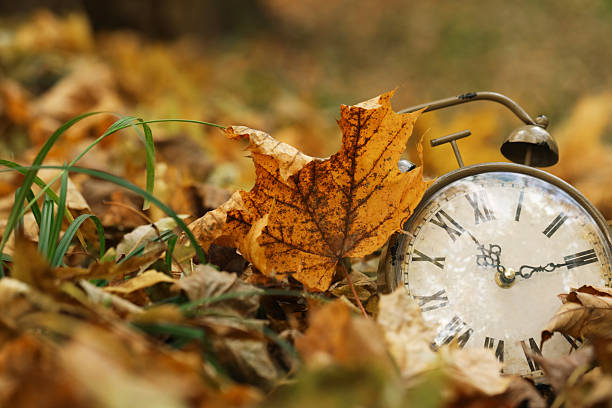 istock Autumn time. Vintage clock on fallen leaves in park, closeup with space for text 2231106280