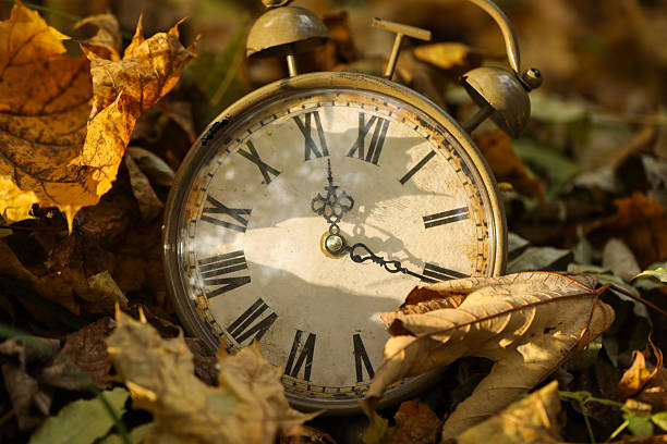istock Autumn time. Vintage clock on fallen leaves in park, closeup 2231106324