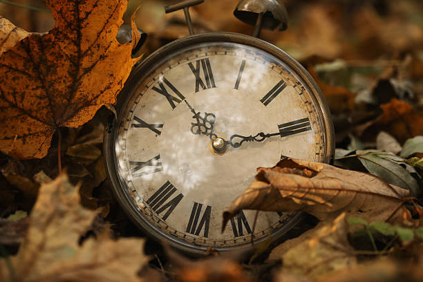 istock Autumn time. Vintage clock on fallen leaves in park, closeup 2231106336