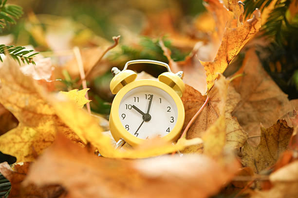 istock Autumn time. Alarm clock on fallen leaves, closeup 2231106341