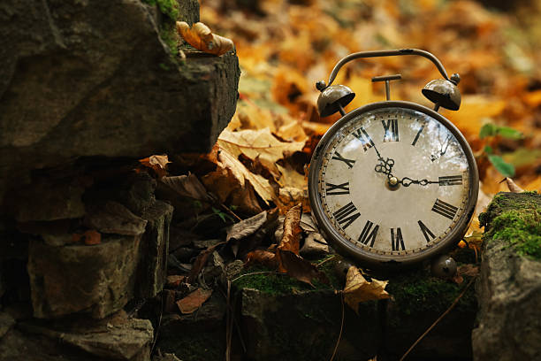 istock Autumn time. Alarm clock in forest, space for text 2231106366