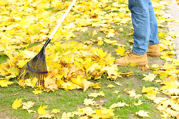 istock Man gathering fallen leaves with fan rake outdoors, closeup 2231107060