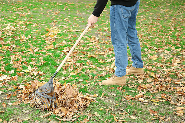 istock Man gathering fallen leaves with fan rake outdoors, closeup 2231107300