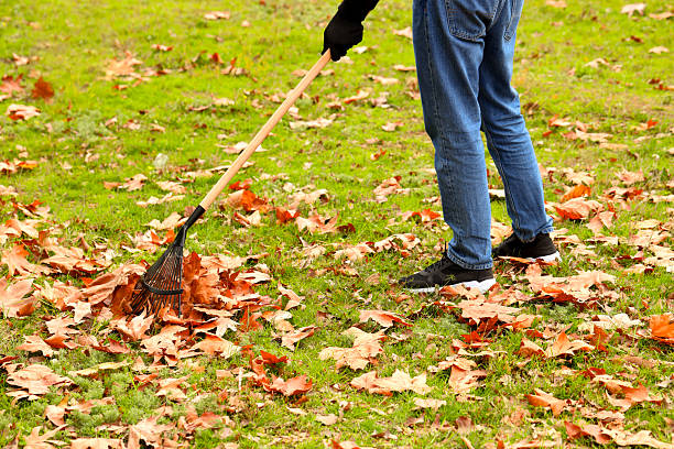istock Man gathering fallen leaves with fan rake outdoors, closeup 2231107308
