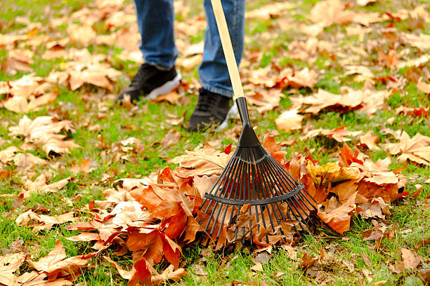 istock Man gathering fallen leaves with fan rake outdoors, closeup 2231107309