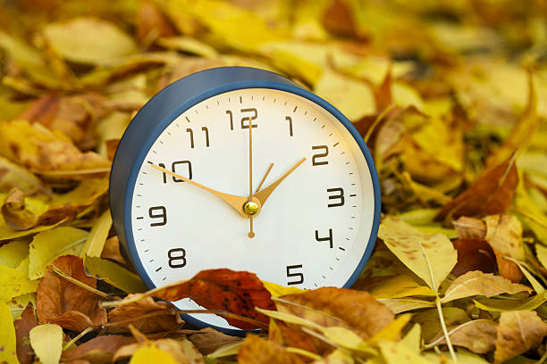 istock Autumn time. Alarm clock on fallen leaves, closeup 2231107489