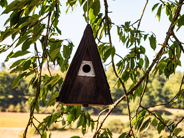 A brown wooden birdhouse hangs in a fruit tree surrounded by green leaves. The rustic wood blends with nature, offering shelter to birds in the peaceful atmosphere of a summer garden.