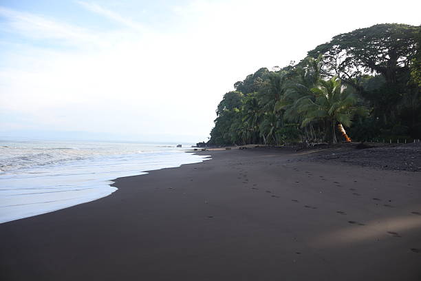istock Escaping to a Peaceful Island Beach 2231134072