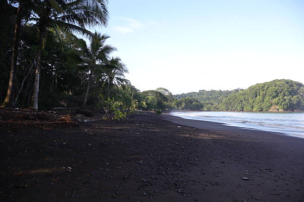 istock Escaping to a Peaceful Island Beach 2231134075