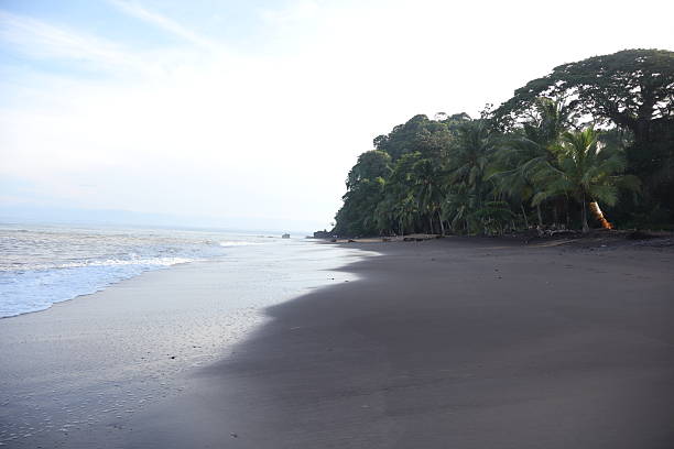 istock Escaping to a Peaceful Island Beach 2231134095