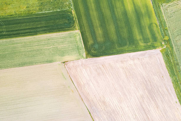 istock The beautiful geometric patterns of farm fields seen from a drone abstract landscape concept 2231134185