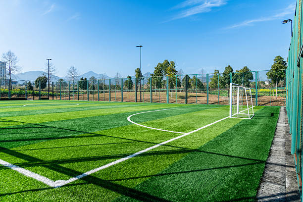 istock Empty soccer field with green grass 2231135828