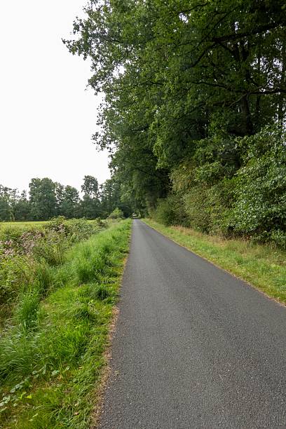 istock Narrow asphalt road leading through green lush landscape 2231136233