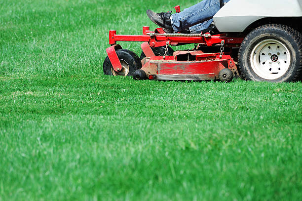 istock outdoor worker working on mowing the lawn 2231139627