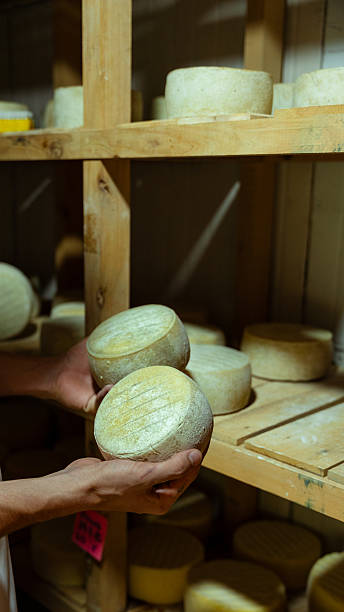 istock Cheesemaker holding fresh cheese wheel in cellar 2231142346