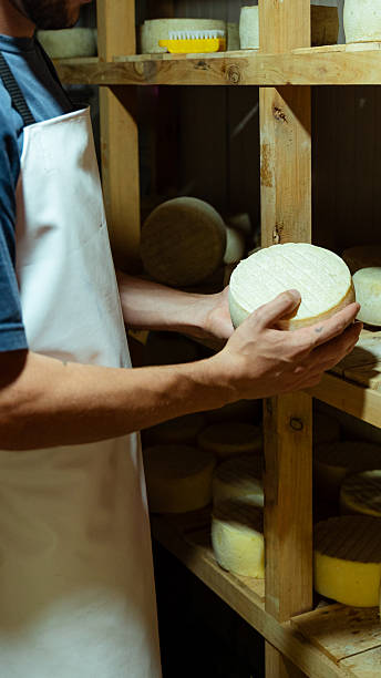 istock Cheesemaker checking quality of cheese wheel in storage room 2231142373