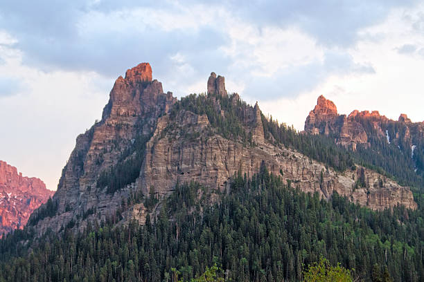 istock Summer in Colorado 2231146787