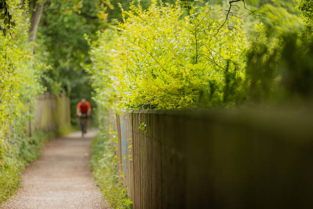 Unrecognizable man is cycling  in green nature.