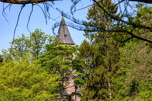 Green leafy tree branches in foreground with bell tower with gray conical dome against blue sky in background, brick walls, sunny day in the Netherlands