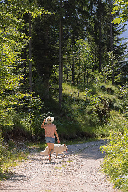 istock Walking a dog along a forest trail in summer 2231154534