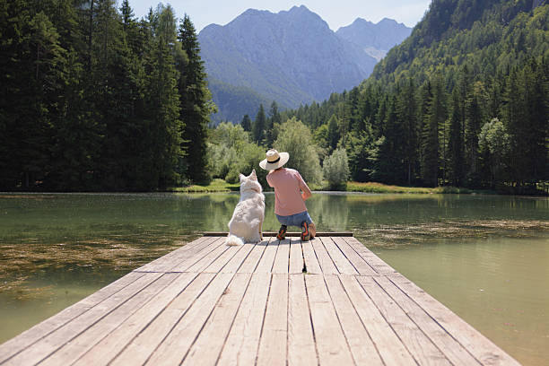 istock Chilling by the lake with a dog 2231154689