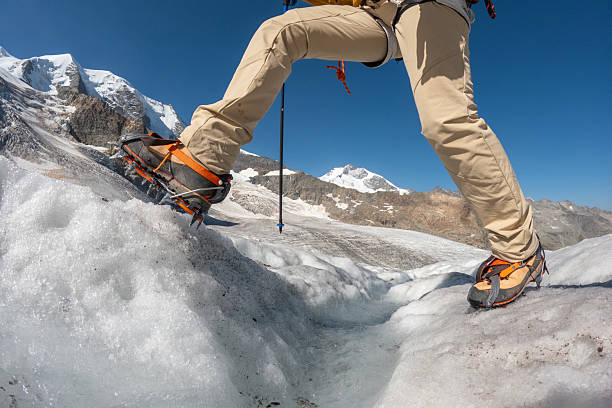 Close-up of hiker's legs with crampons climbing icy glacier. Outdoor adventure in snowy mountain terrain with trekking poles. Winter hiking and mountaineering activity in alpine environment.