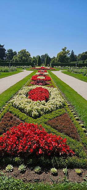 istock The garden in the middle 2231160545
