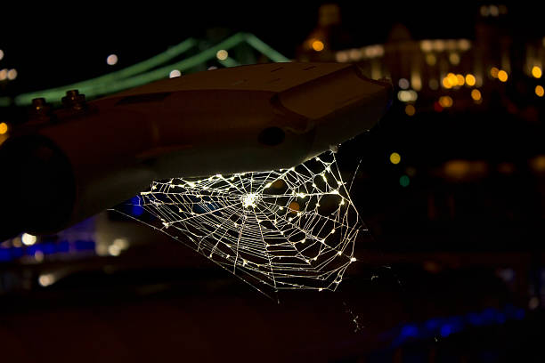 Spider in spider web on street lamp. Night lantern illuminating a spider web with a close-up of the spider