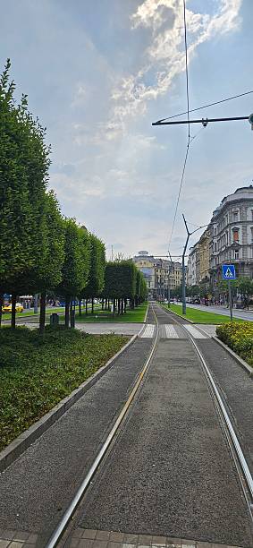 istock the tram way in the city 2231162188