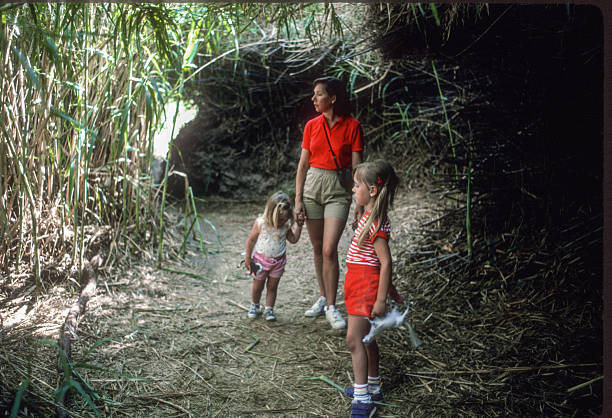 istock Big Bend NP - Mother & Daughters in Rare Shade - 1984 2231162216